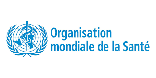 Traduction de rapports officiels de l'organisation mondiale de la santé à Bamako