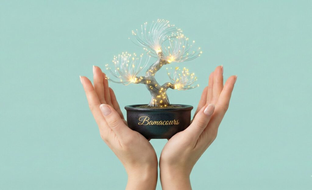 Formation - Initiation Data Science & Power BI de Bamaours